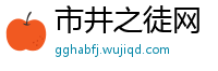 市井之徒网